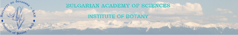 Top banner background