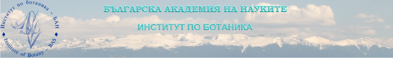 Top banner background